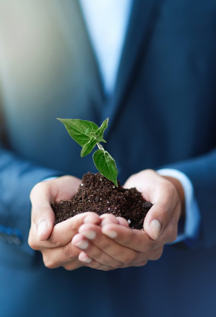 Hands holding a young plant in soil